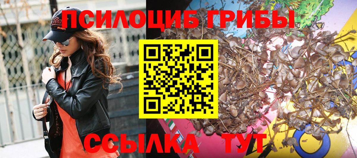 Галлюциногенные грибы Magic Shrooms  Вход с VPN  Сарапул 