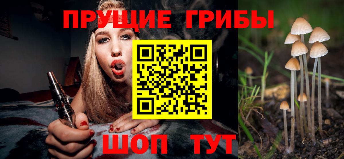 Псилоцибиновые грибы Psilocybine cubensis Сарапул